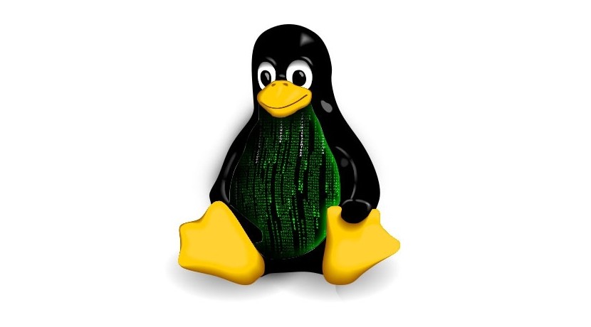 vulnerabilidad kernel linux