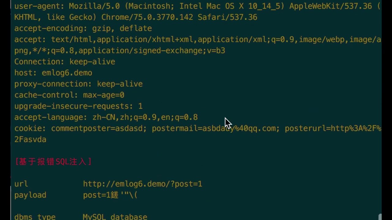 w13scan tutorial