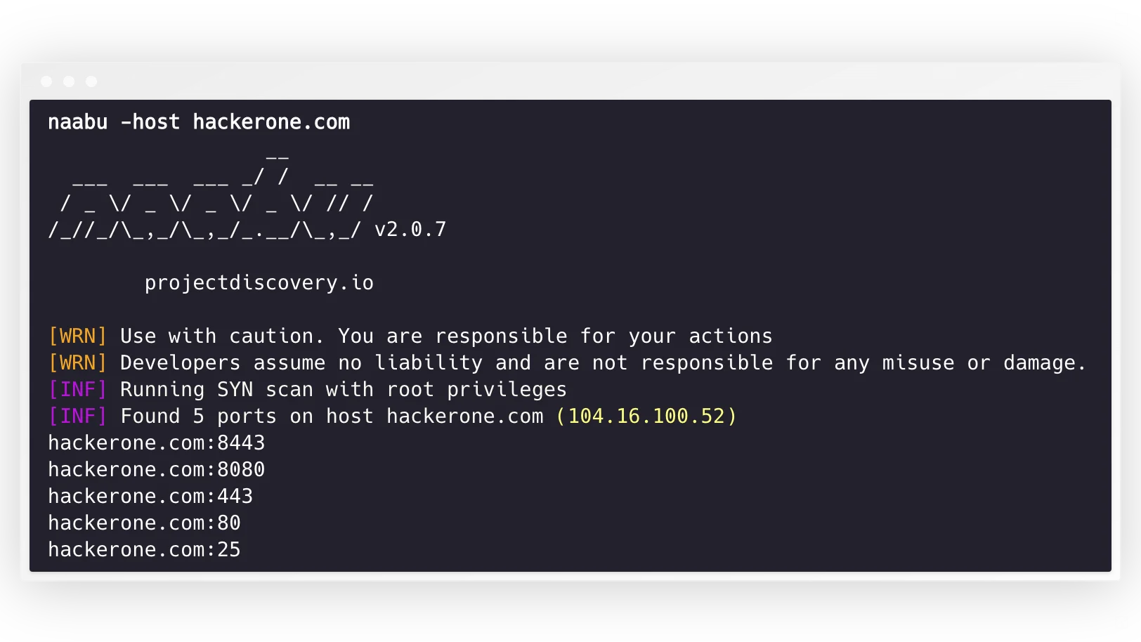 Cómo realizar un escaneo rápido y confiable con Naabu - HackWise